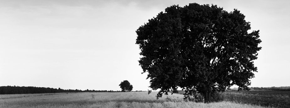 电脑短信轰炸机